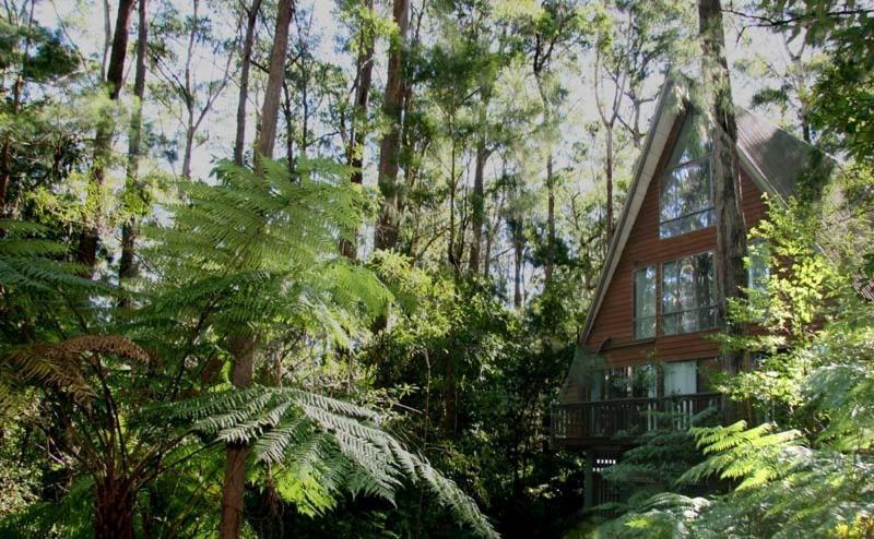Springbrook Mountain Chalets Exteriér fotografie