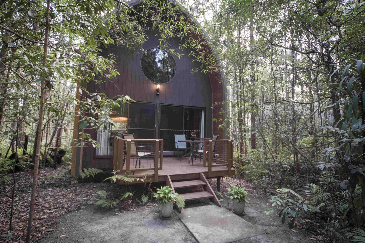 Springbrook Mountain Chalets Pokoj fotografie