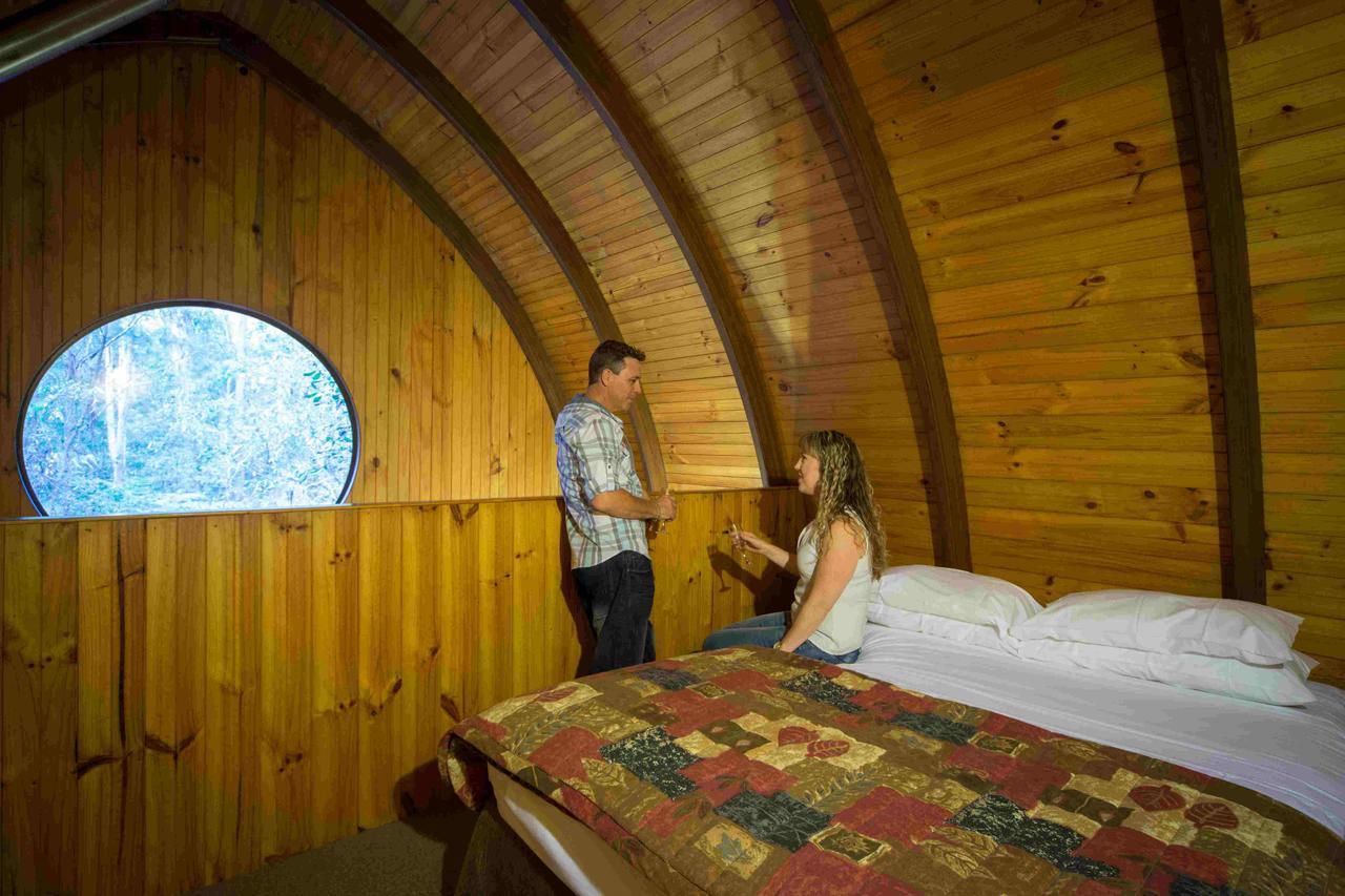 Springbrook Mountain Chalets Pokoj fotografie