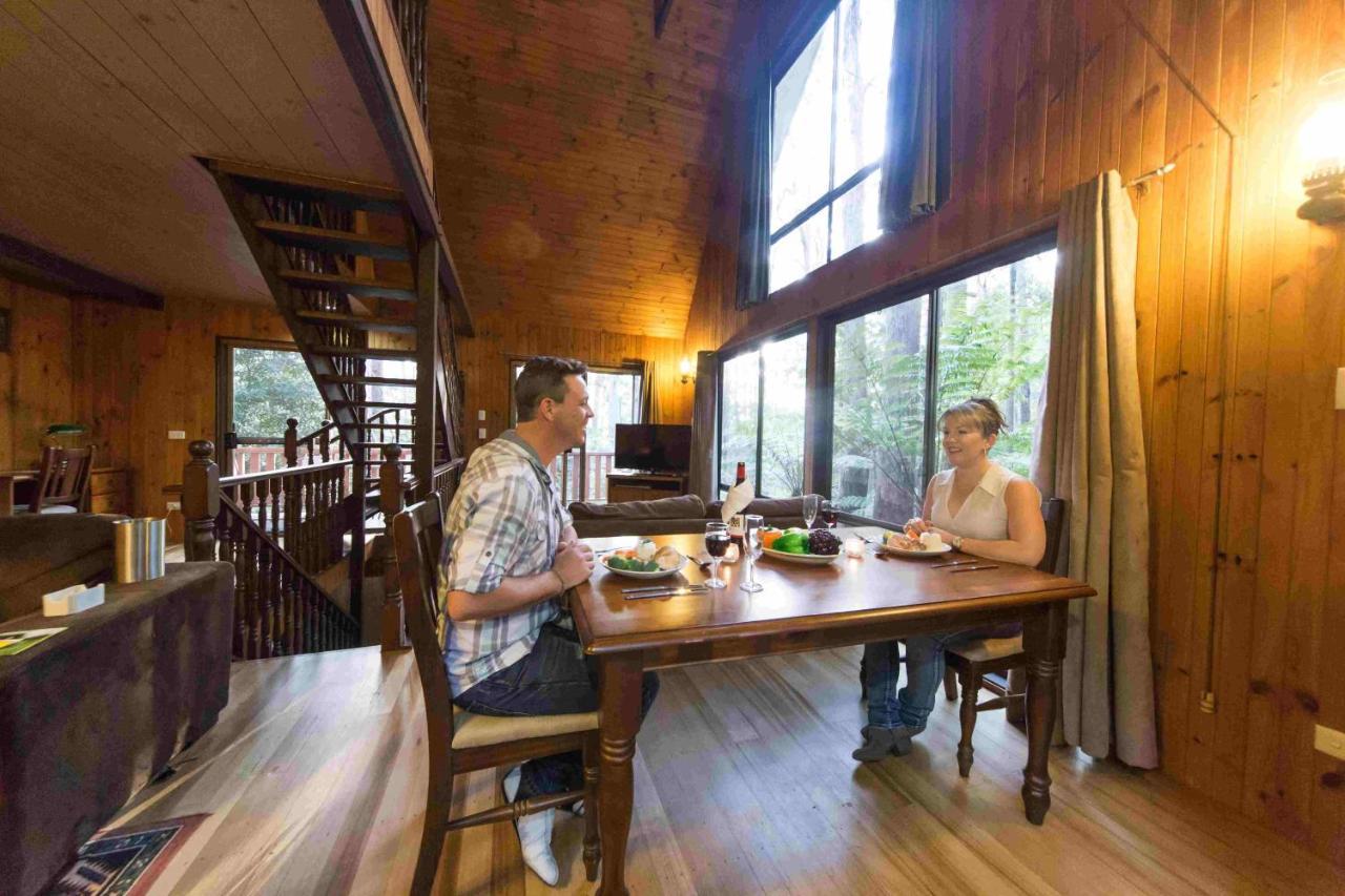 Springbrook Mountain Chalets Exteriér fotografie