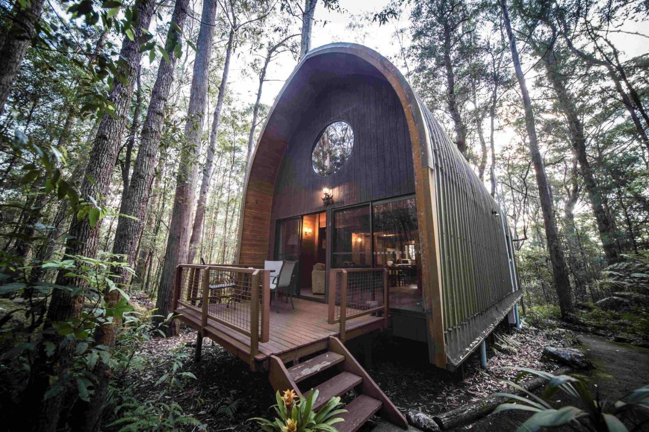 Springbrook Mountain Chalets Exteriér fotografie